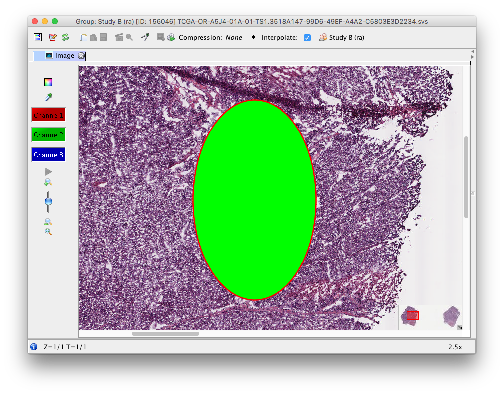 OMERO.insight compatibility — PathViewer 3.14.0 documentation